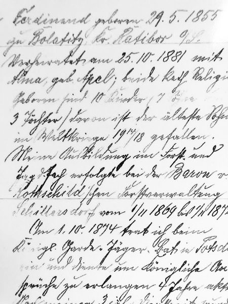 Ferdinands Lebenslauf – leider noch unvollständig